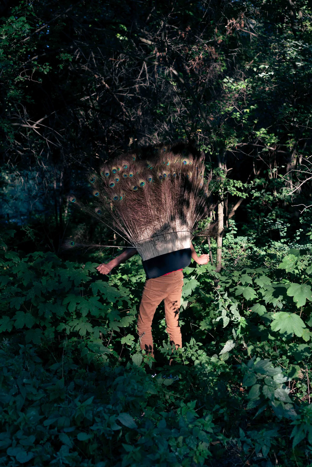 A person stands in dense green undergrowth, their face hidden by the leaves.