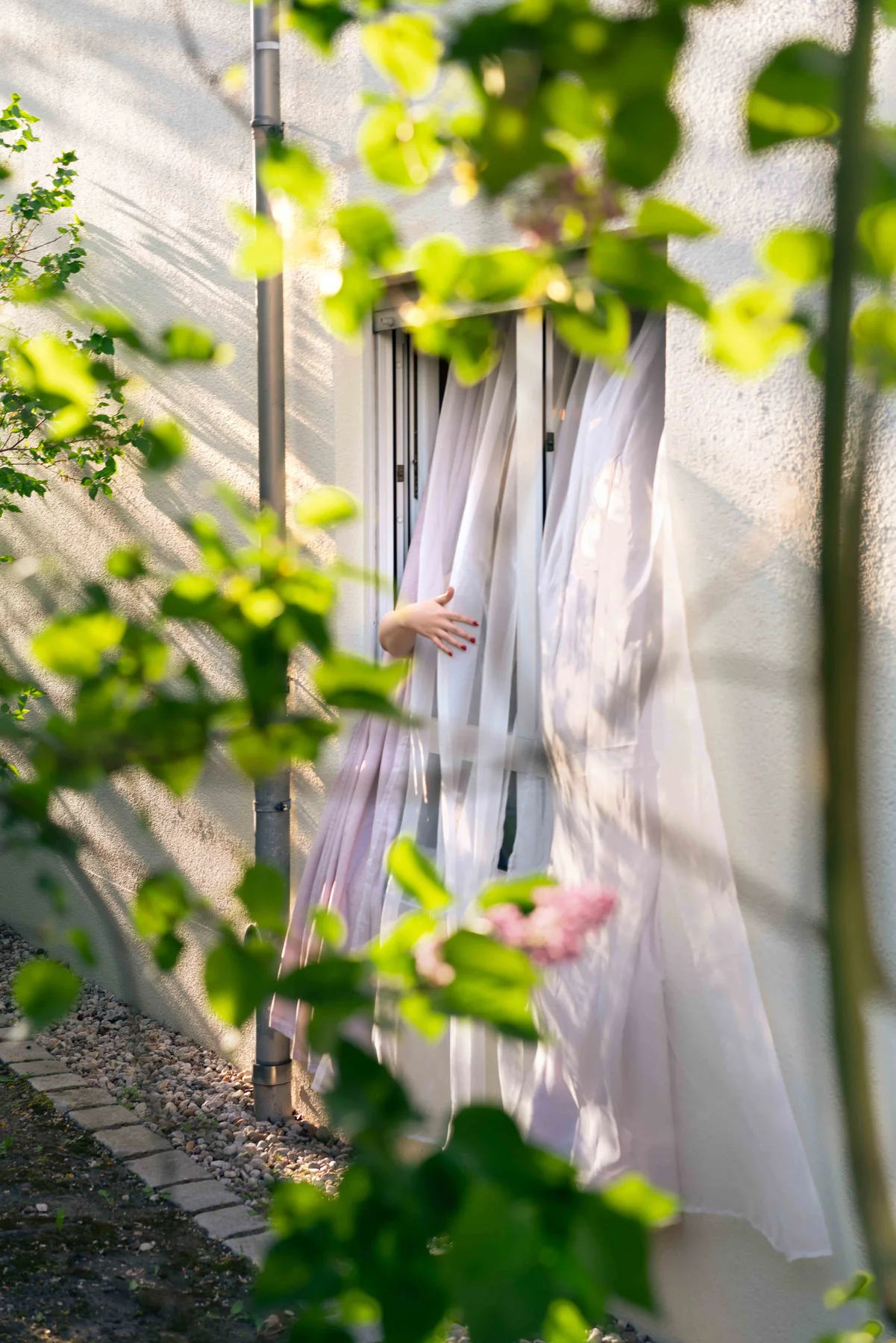 A hand reaches from a window through net curtains and leaves.
