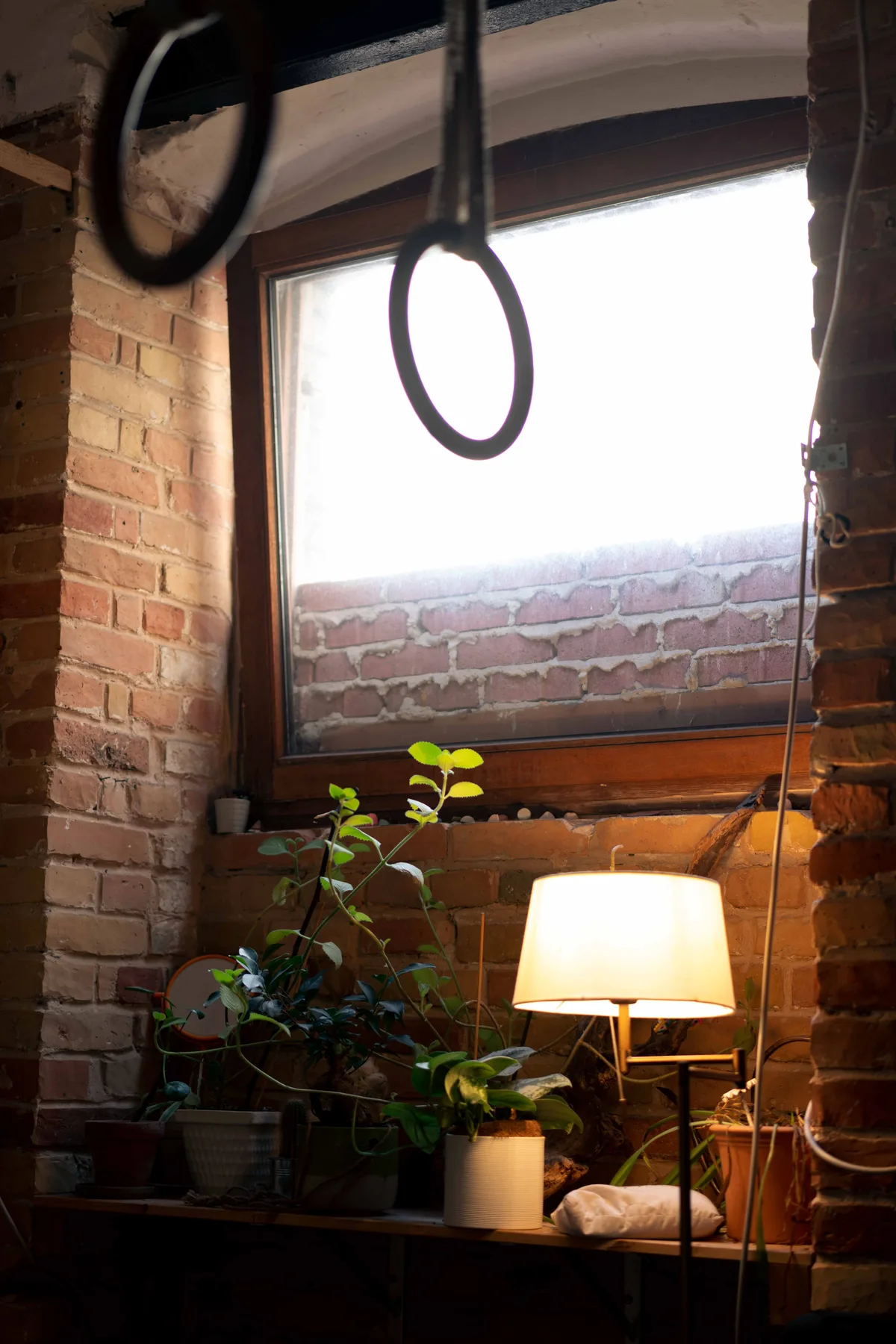 Gymnastic rings hang before a bright window above a brick wall, potted plants and a lit lamp.